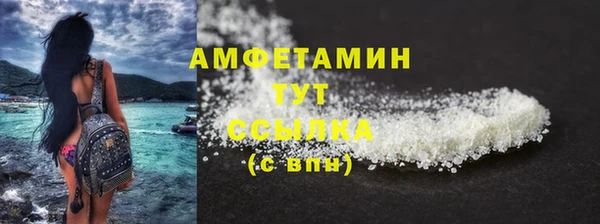твердый Ельня