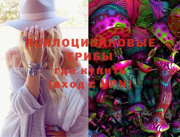 твердый Ельня