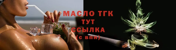 твердый Ельня