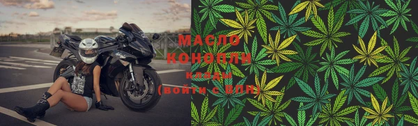 твердый Ельня