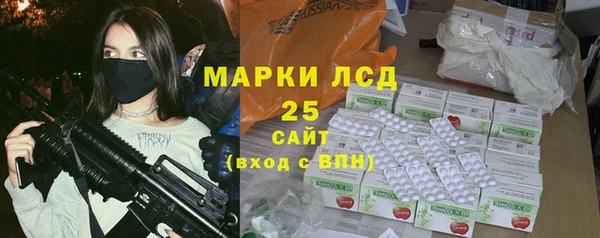 твердый Ельня