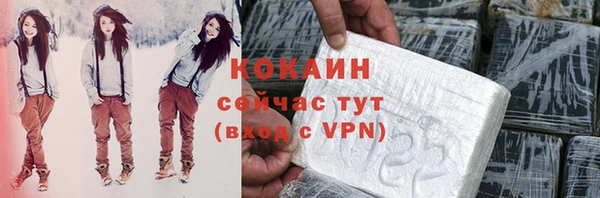 твердый Ельня