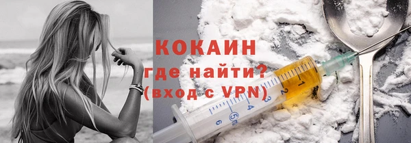 твердый Ельня