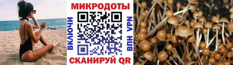 Галлюциногенные грибы Psilocybe  mega онион  Обнинск 